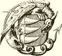the Bathory seal